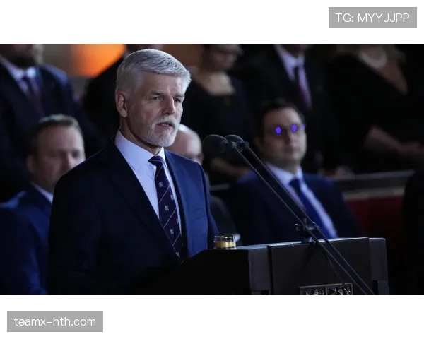 捷克帕维尔传奇再展勇智，篮球界瞩目其非凡表现